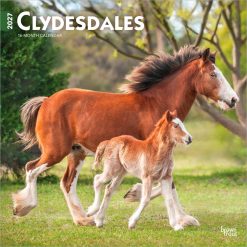 Alternative view of Clydesdales 2027 Square Wall Calendar