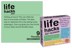 Alternative view of Life Hacks 2027 Boxed Desk Calendar