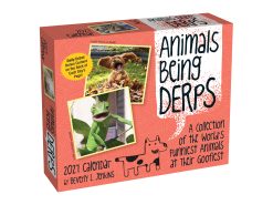 Animals Being Derps 2027 Boxed Desk Calendar