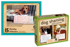 Alternative view of Dog Shaming 2027 Boxed Desk Calendar