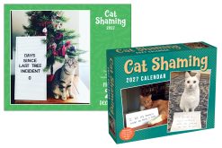 Alternative view of Cat Shaming 2027 Boxed Desk Calendar