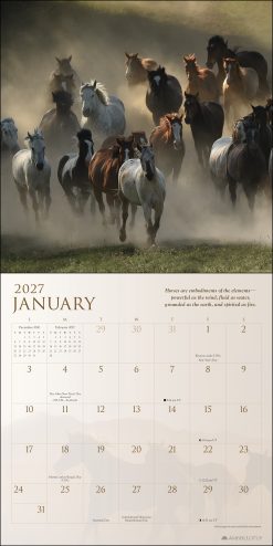Alternative view of Spirit Horses by Tony Stromberg 2027 Square Wall Calendar