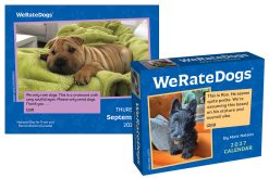 Alternative view of WeRateDogs 2027 Boxed Desk Calendar