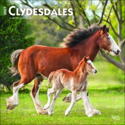 Clydesdales 2027 Square Wall Calendar