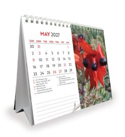 Australian Wildflowers - Steve Parish 2027 Double View Desk Easel Calendar - Image 3