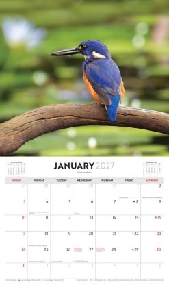Australian Birds - Steve Parish 2027 Landscape Wall Calendar - Image 3