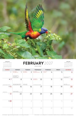 Australian Birds - Steve Parish 2027 Landscape Wall Calendar - Image 4