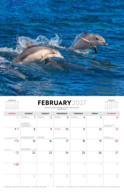 Australian Coastlines - Steve Parish 2027 Landscape Wall Calendar - Image 4
