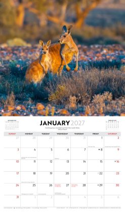 Australian Outback - Steve Parish 2027 Landscape Wall Calendar - Image 3