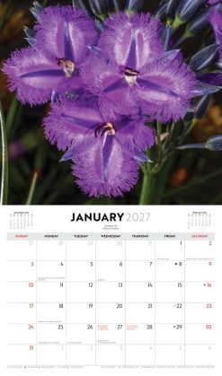 Australian Wildflowers - Steve Parish 2027 Landscape Wall Calendar - Image 3
