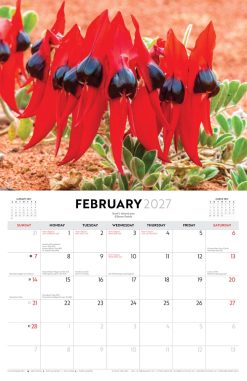 Australian Wildflowers - Steve Parish 2027 Landscape Wall Calendar - Image 4