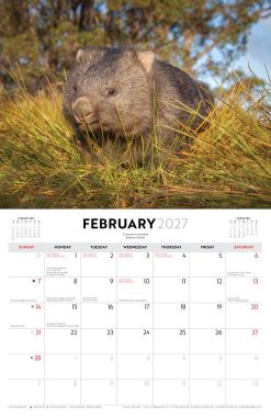 Australian Wildlife - Steve Parish 2027 Landscape Wall Calendar - Image 4