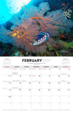 Queensland & Region Steve Parish 2027 Landscape Wall Calendar - Image 4