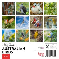 Alternative view of Australian Birds - Steve Parish 2027 Mini Square Wall Calendar