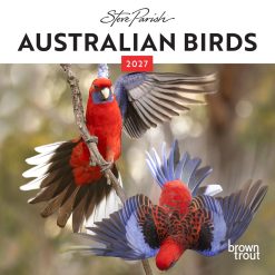Australian Birds - Steve Parish 2027 Mini Square Wall Calendar