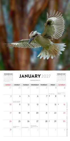 Australian Birds - Steve Parish 2027 Mini Square Wall Calendar - Image 3