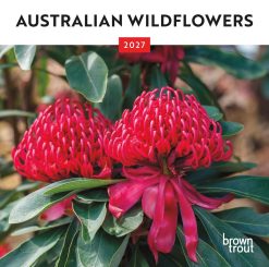 Australian Wildflowers 2027 Mini Square Wall Calendar