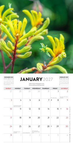 Australian Wildflowers 2027 Mini Square Wall Calendar - Image 3