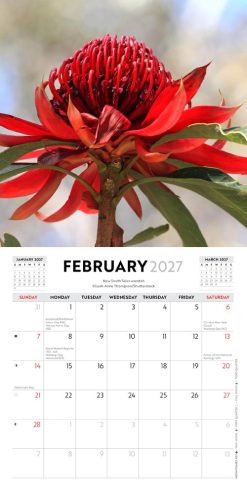 Australian Wildflowers 2027 Mini Square Wall Calendar - Image 4