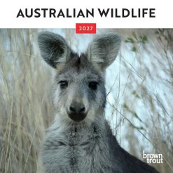 Australian Wildlife 2027 Mini Square Wall Calendar