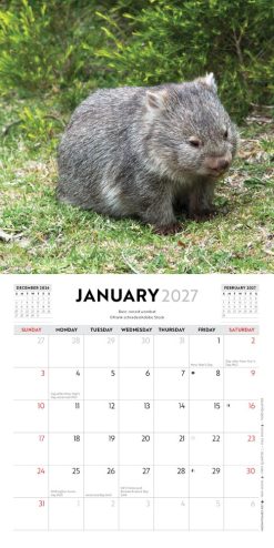 Australian Wildlife 2027 Mini Square Wall Calendar - Image 3