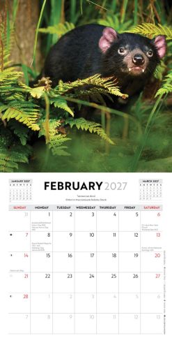 Australian Wildlife 2027 Mini Square Wall Calendar - Image 4