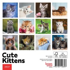 Alternative view of Cute Kittens 2027 Mini Square Wall Calendar