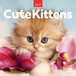 Cute Kittens 2027 Mini Square Wall Calendar