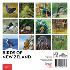 Alternative view of New Zealand Birds 2027 Mini Square Wall Calendar