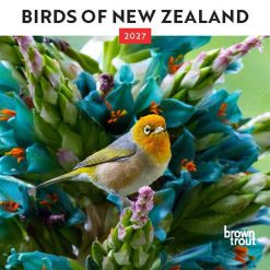 New Zealand Birds 2027 Mini Square Wall Calendar