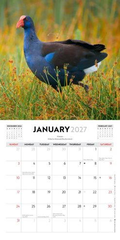 New Zealand Birds 2027 Mini Square Wall Calendar - Image 3