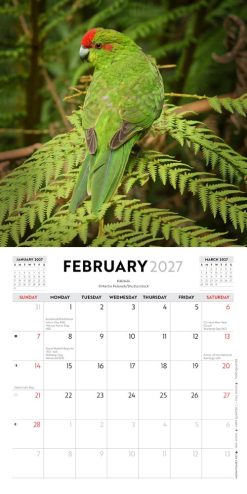 New Zealand Birds 2027 Mini Square Wall Calendar - Image 4