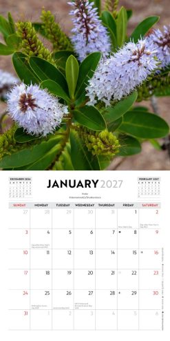 New Zealand Native Flowers 2027 Mini Square Wall Calendar - Image 3