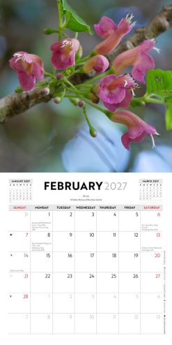New Zealand Native Flowers 2027 Mini Square Wall Calendar - Image 4