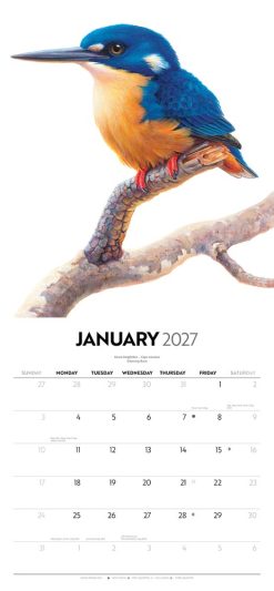 Birds of Australia - Jeremy Boot 2027 Square Wall Calendar - Image 3