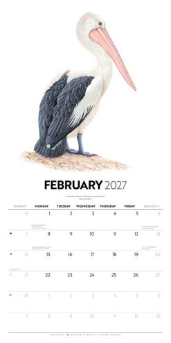 Birds of Australia - Jeremy Boot 2027 Square Wall Calendar - Image 4
