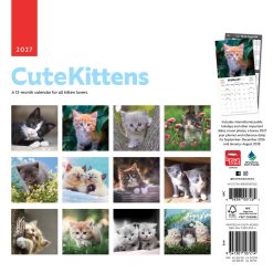 Alternative view of Cute Kittens 2027 Square Wall Calendar