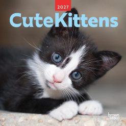 Cute Kittens 2027 Square Wall Calendar