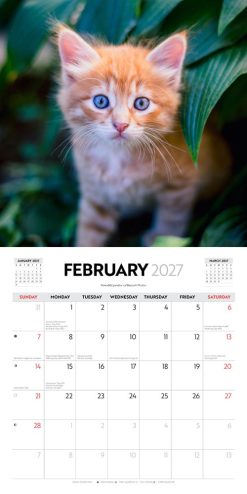 Cute Kittens 2027 Square Wall Calendar - Image 3