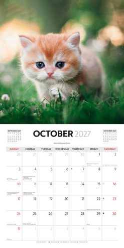 Cute Kittens 2027 Square Wall Calendar - Image 4