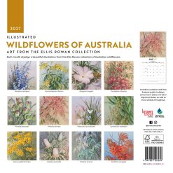 Alternative view of Illustrated Wildflowers of Australia 2027 Square Wall Calendar