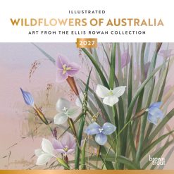 Illustrated Wildflowers of Australia 2027 Square Wall Calendar
