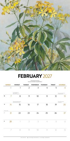 Illustrated Wildflowers of Australia 2027 Square Wall Calendar - Image 4