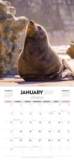 New Zealand Wildlife 2027 Square Wall Calendar - Image 3