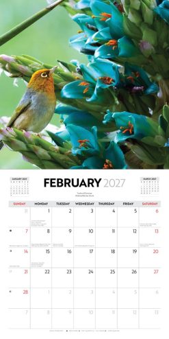 New Zealand Wildlife 2027 Square Wall Calendar - Image 4