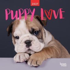 Puppy Love 2027 Square Wall Calendar