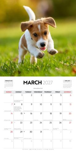 Puppy Love 2027 Square Wall Calendar - Image 3
