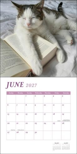 Cats & Books 2027 Square Wall Calendar - Image 4