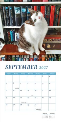 Cats & Books 2027 Square Wall Calendar - Image 5