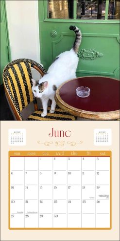 Cats in Paris 2027 Square Wall Calendar - Image 4